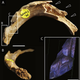 Image for article titled Grim Discovery Confirms Cannibalism Among Early Britons